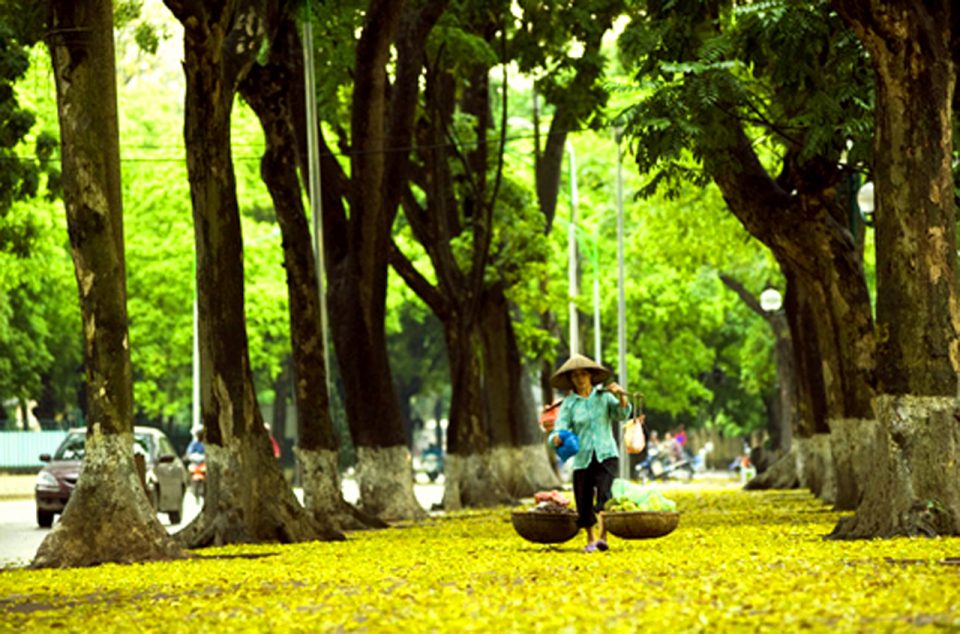 Fall in Hanoi