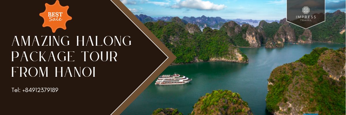 Amazing hanoi Halong bay tours