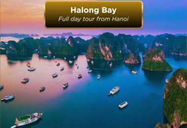 Halong long full day tour from hanoi