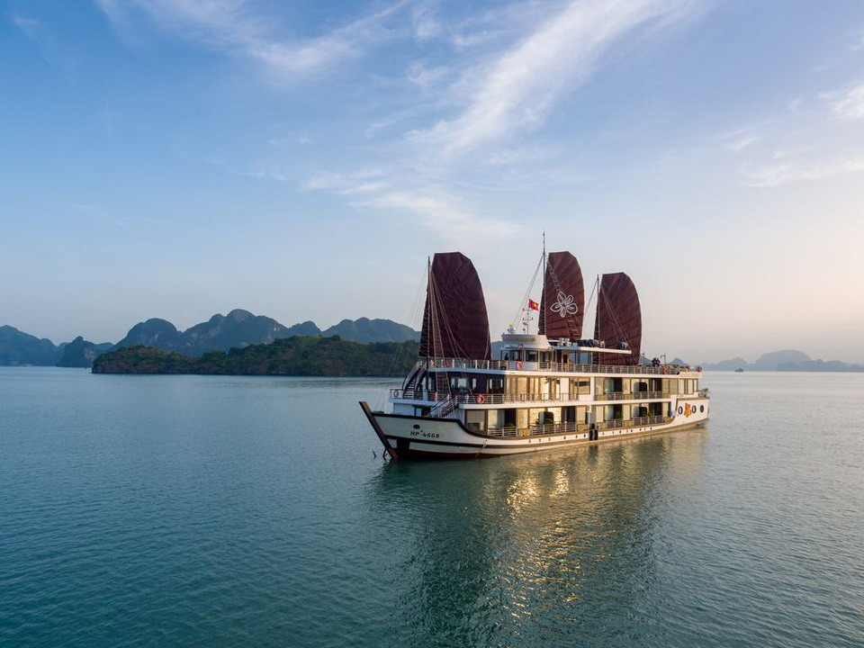 Azalea Cruise Lan Ha Bay overview