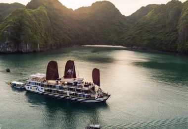 Orchid Cruise Lan Ha Bay Overview