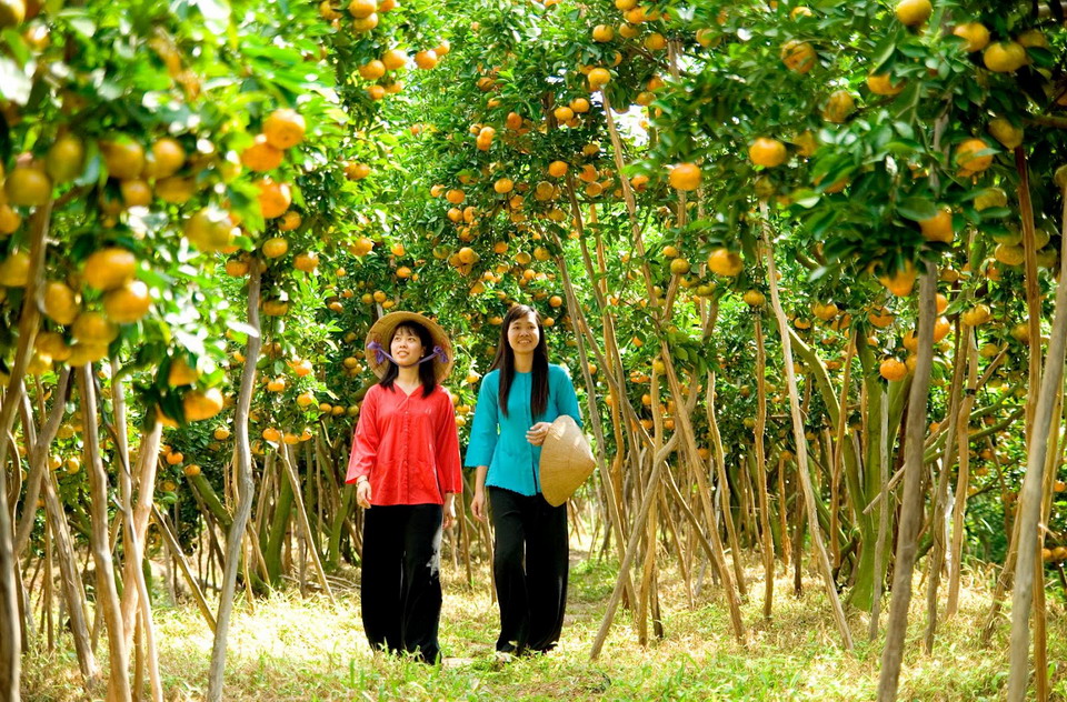 Ben Tre Mekong - Orchard