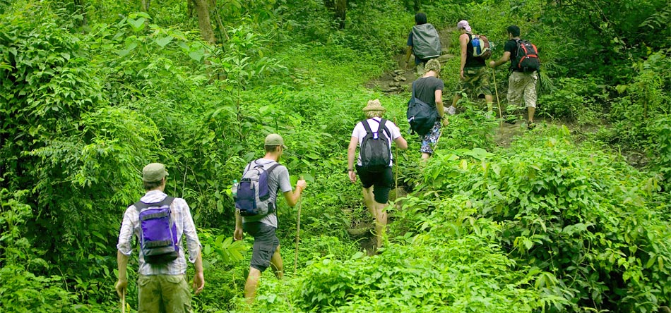 Trekking in Cuc Phuong National Park: Trek on Tours in the park