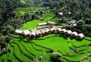 Hoang Su Phi Lodge Rice Terraces