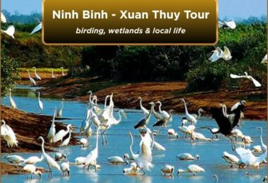Ninh Binh Xuan Thuy tour