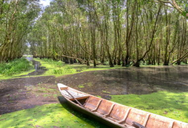 Can Gio Mangrove Forest Tours