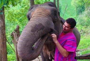 Chiang Dao Trek And Elephant Camp Thai Land
