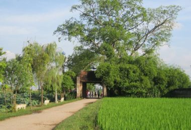 Duong Lam Old Gate