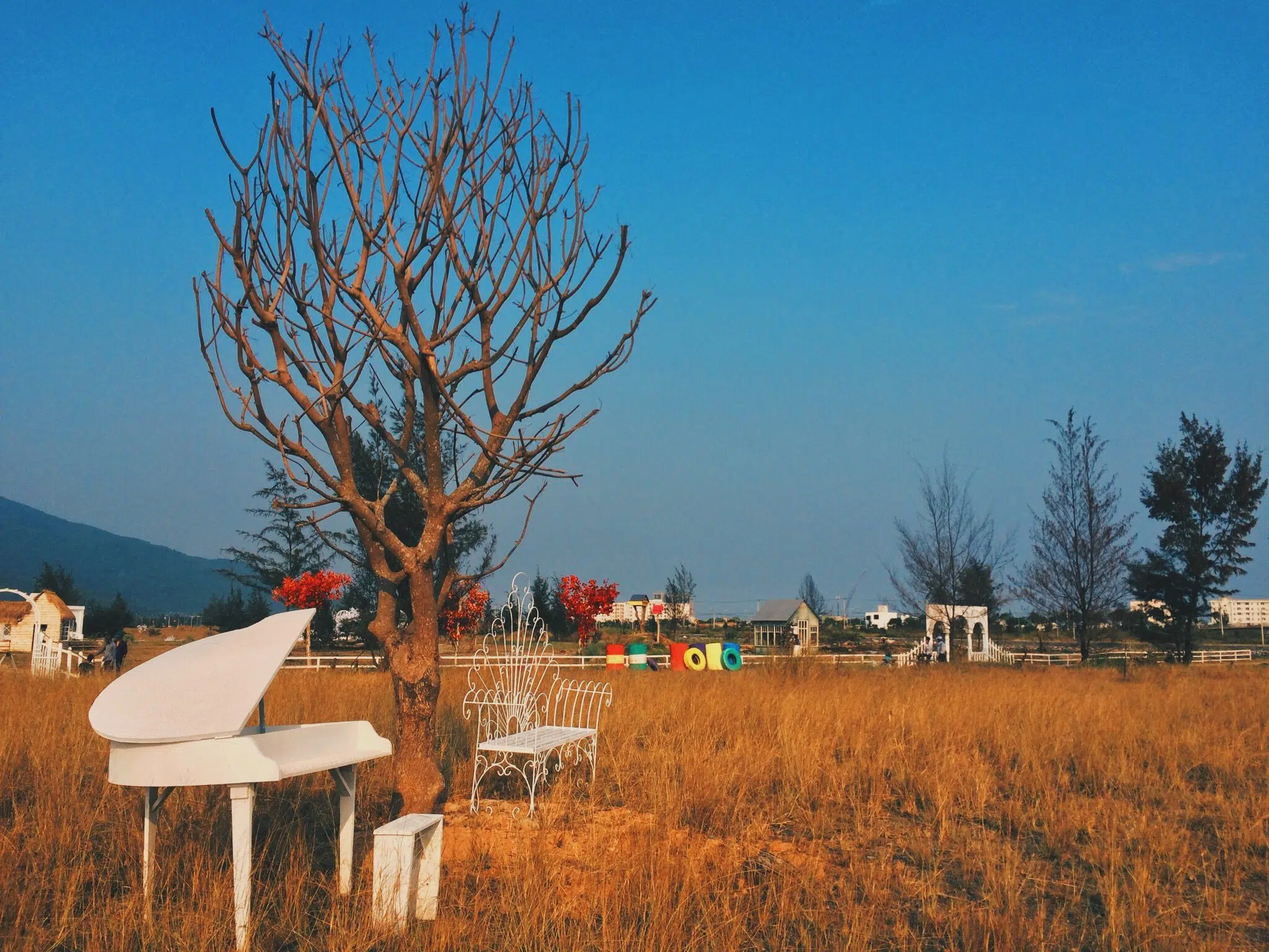 Tuy Loan Village in Da Nang