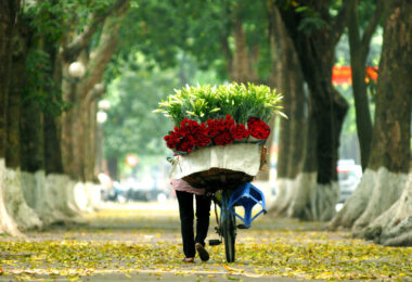 Hanoi is in the fall from August to November