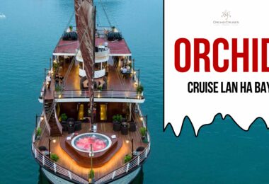 Orchid Classic Cruise