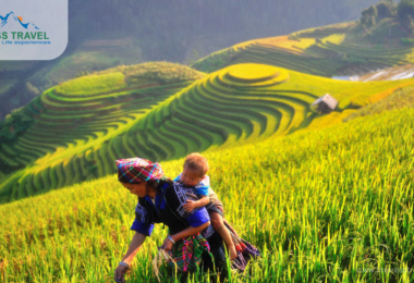 Best seasons for visiting Mu Cang Chai