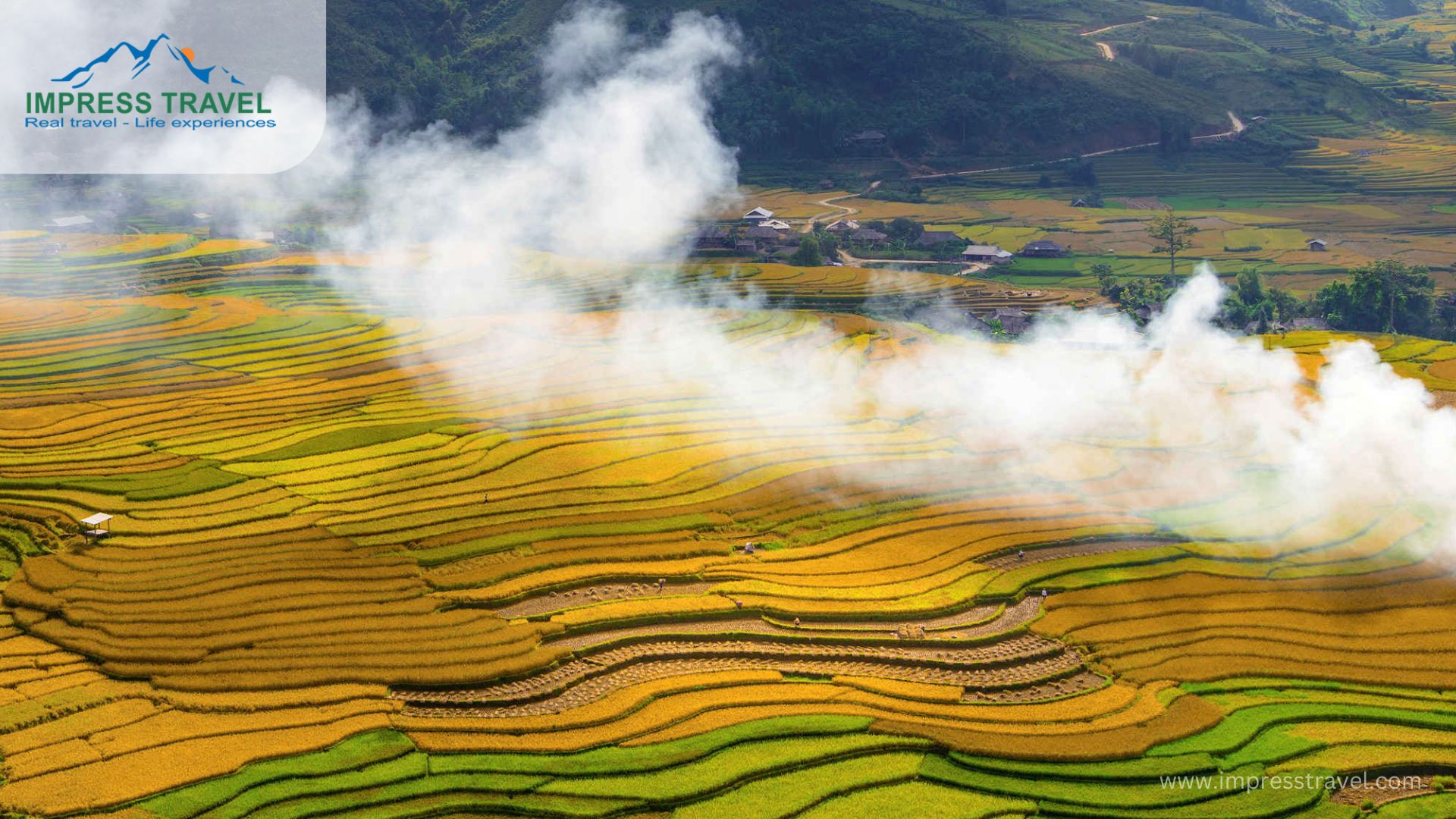 De Xu Phinh Viewpoints