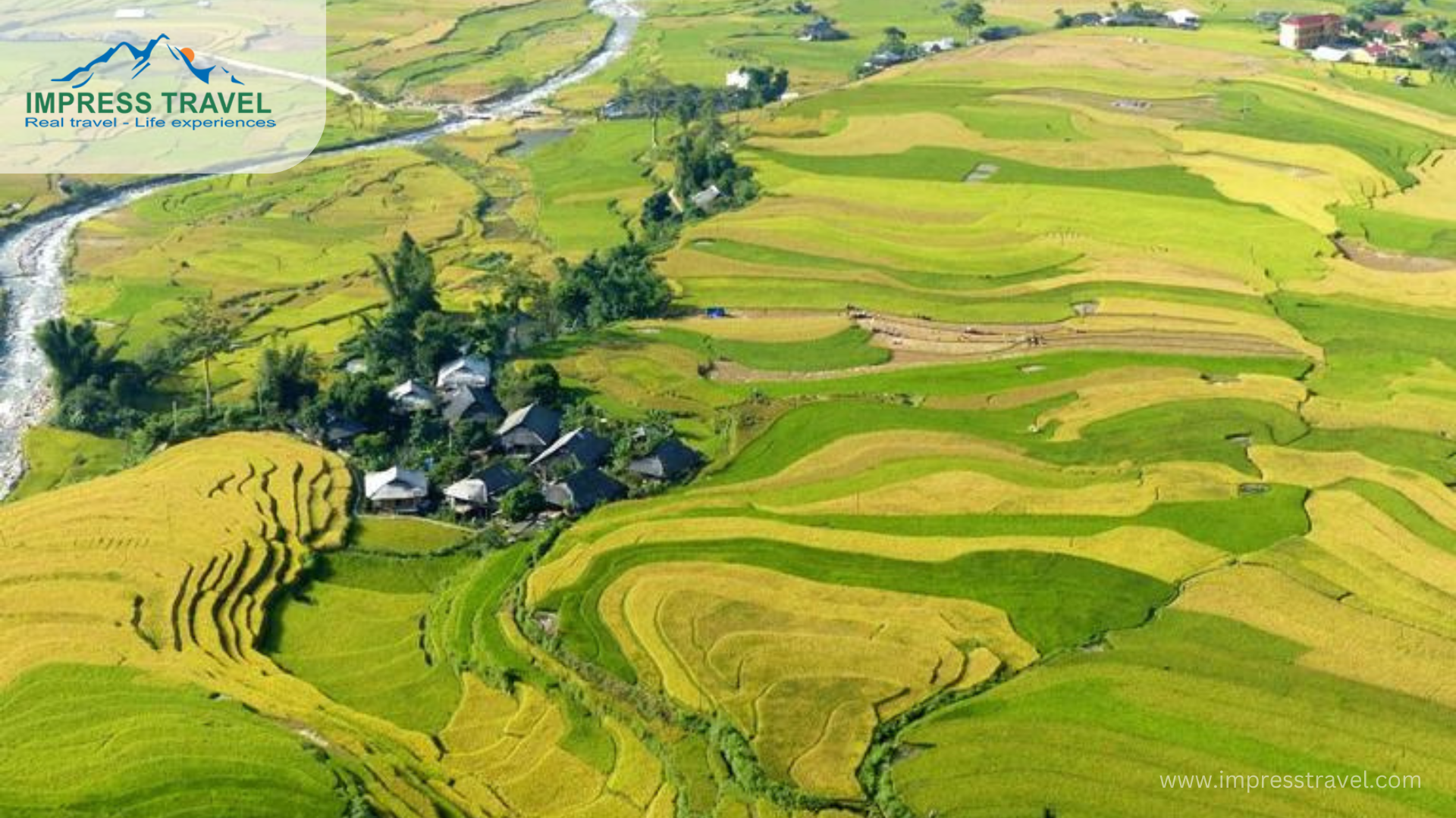 Ripe rice season around September to October