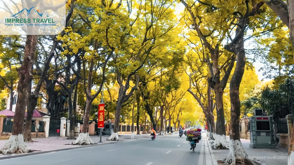 Fall in Hanoi