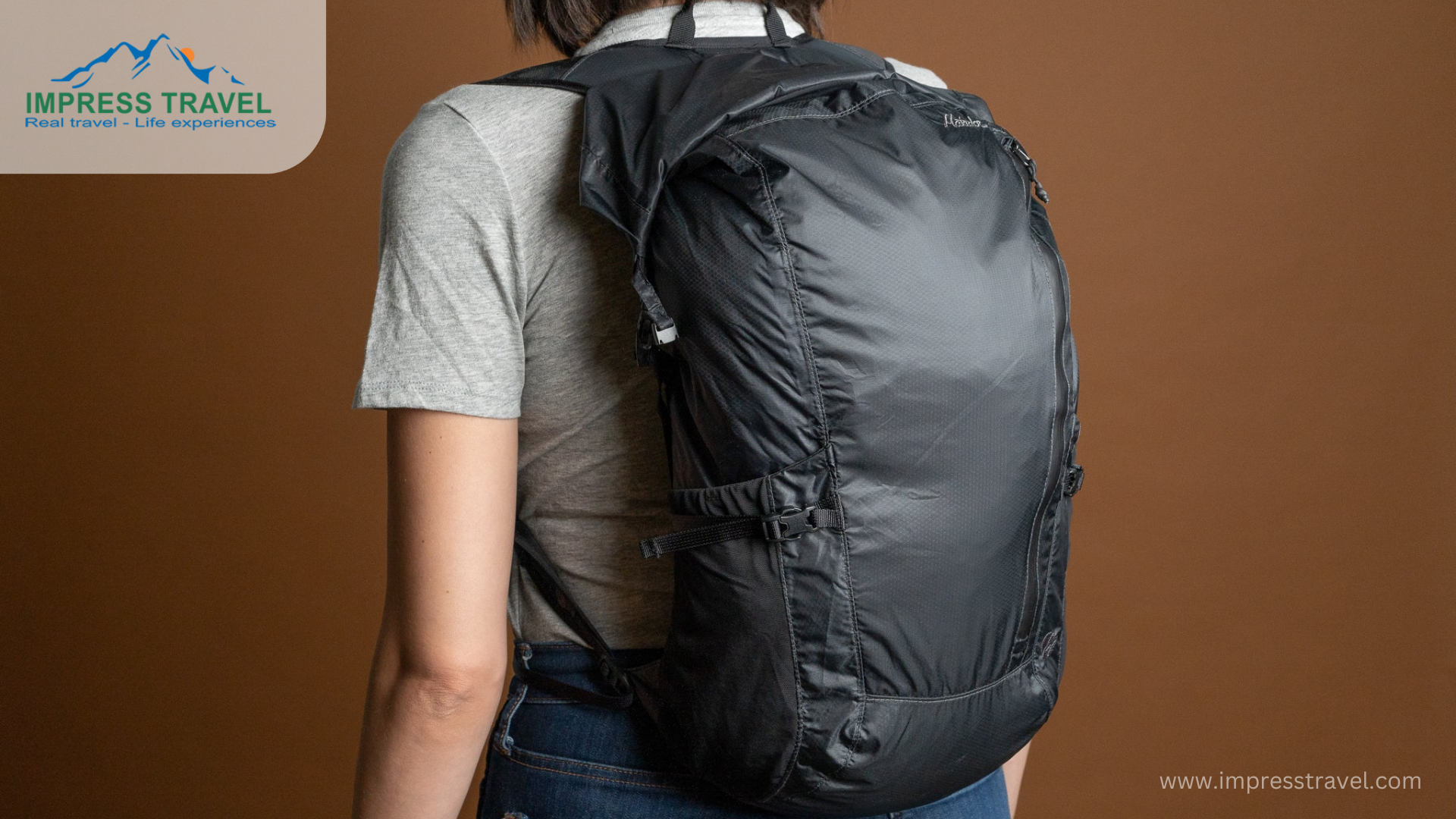Lightweight Backpack or Daypack