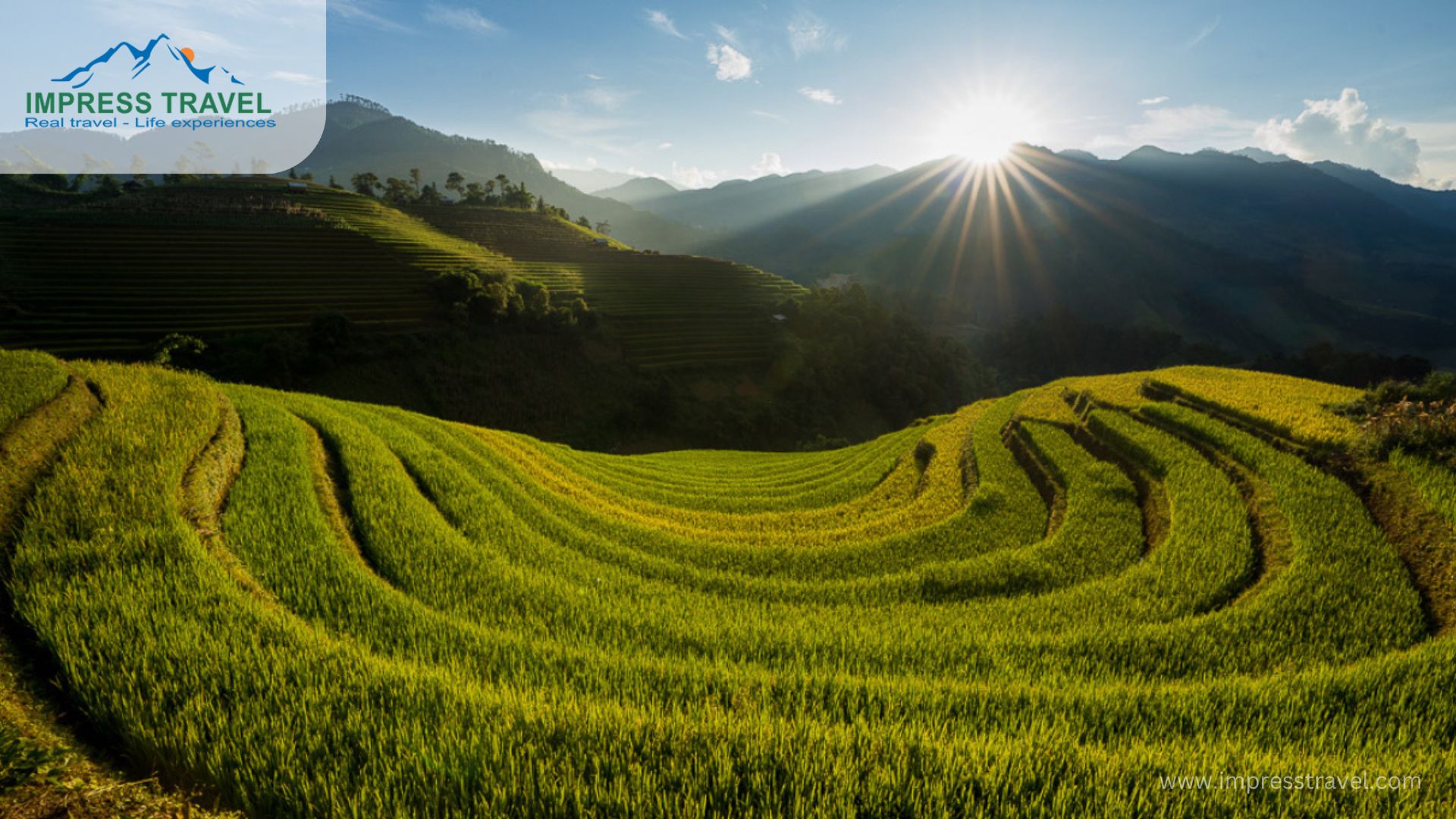 Mu Cang Chai