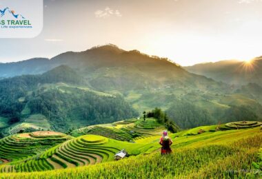 Mu Cang Chai