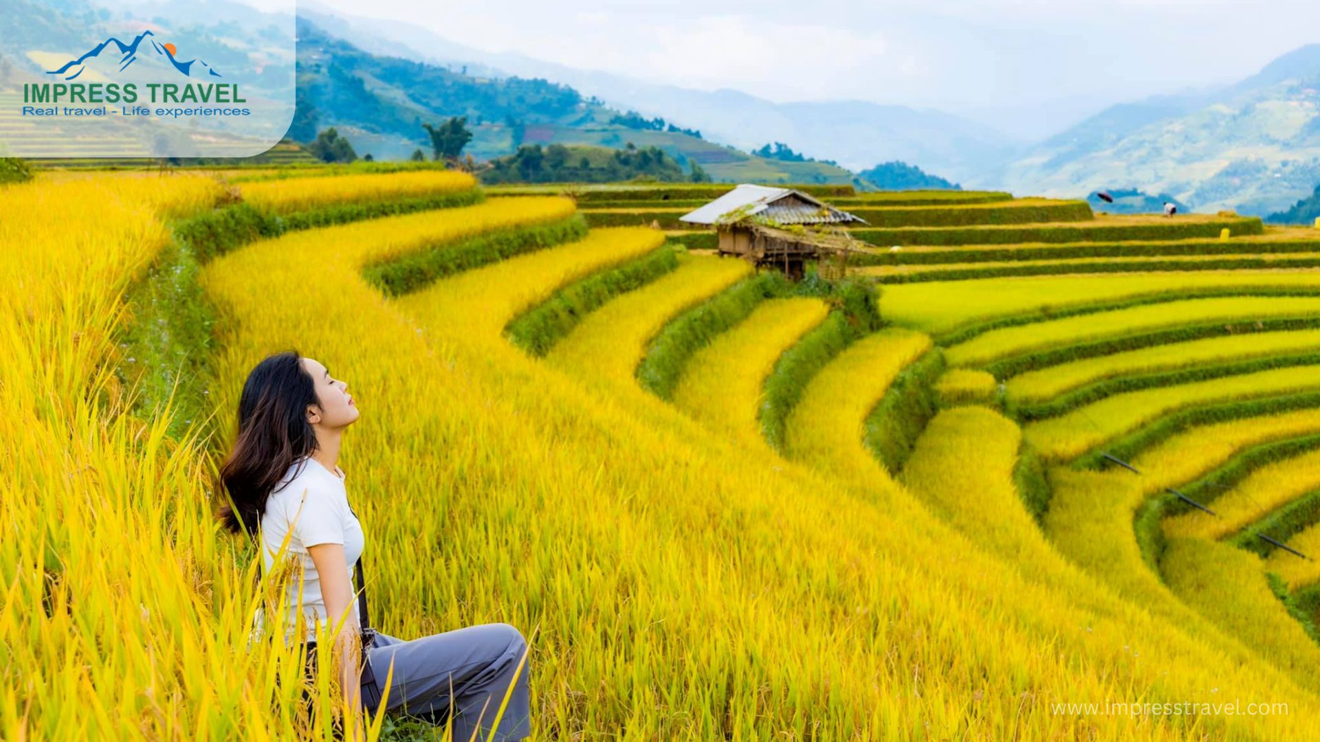 Golden season in Mu Cang Chai