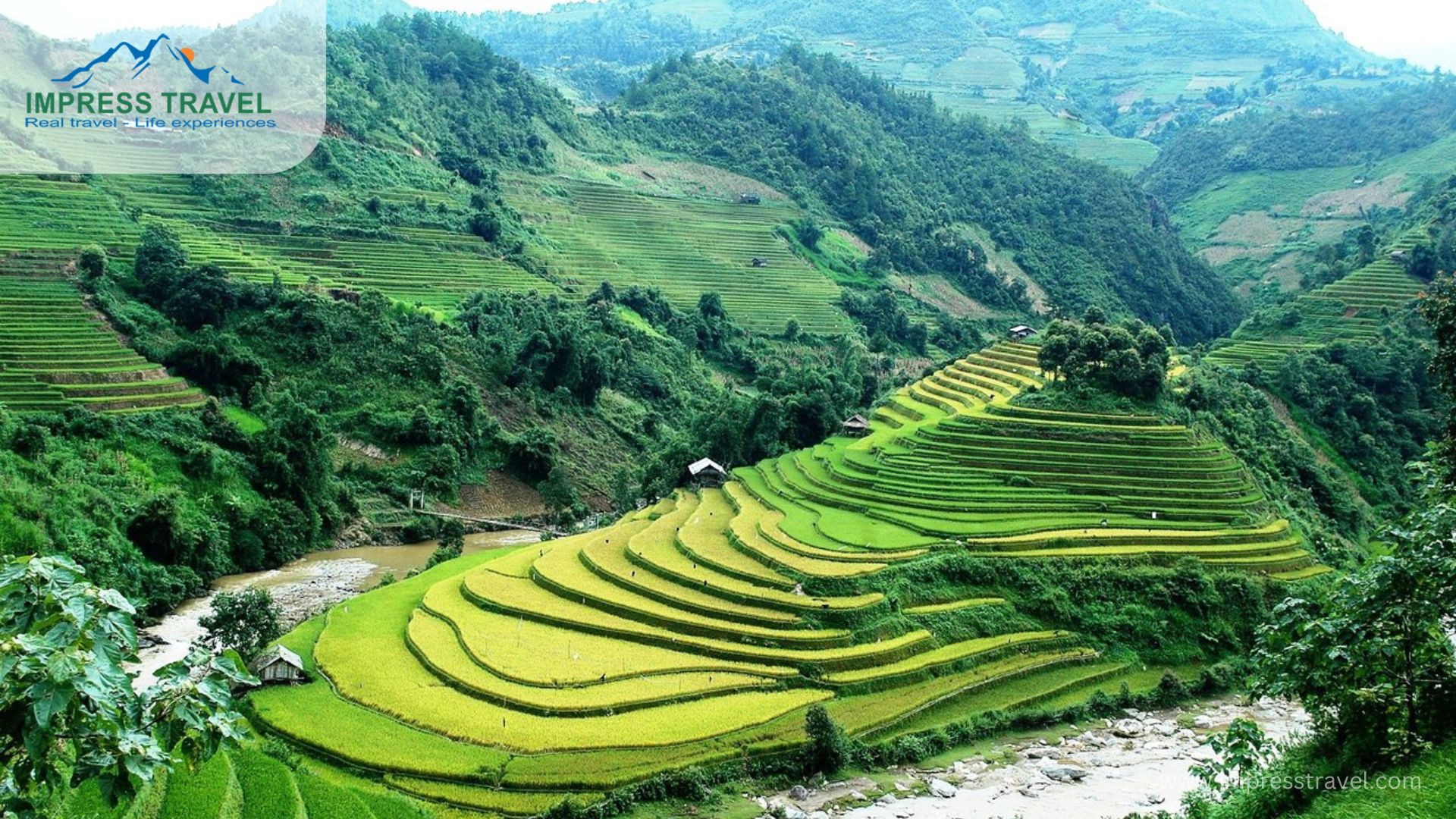 Mu Cang Chai District