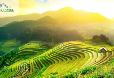 Summer in Mu Cang Chai