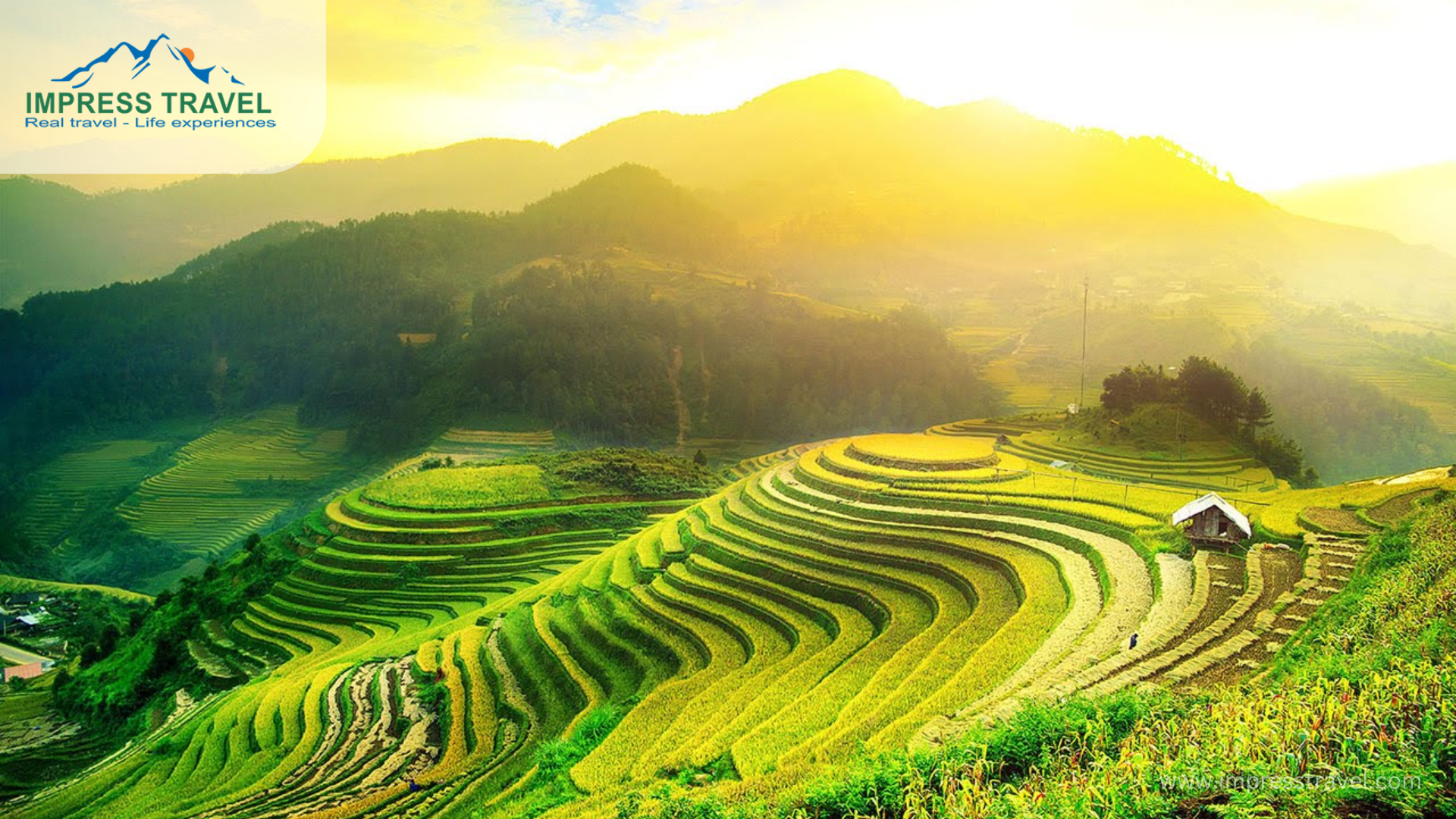 Summer in Mu Cang Chai