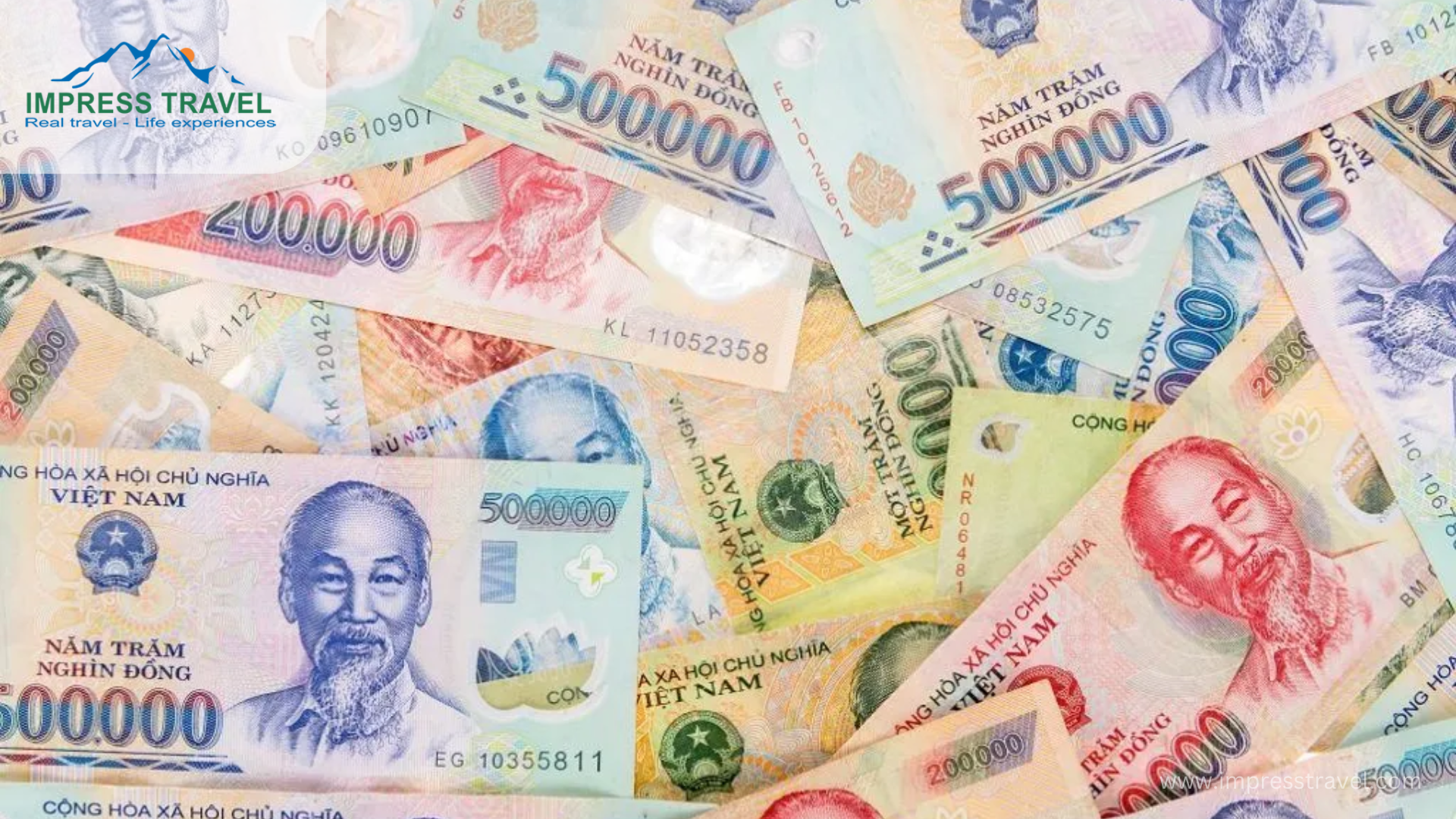 Vietnamese Currency