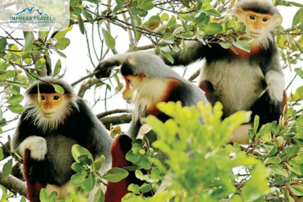 Monkey Mountain near Linh Ung Pagoda, Son Tra Peninsula