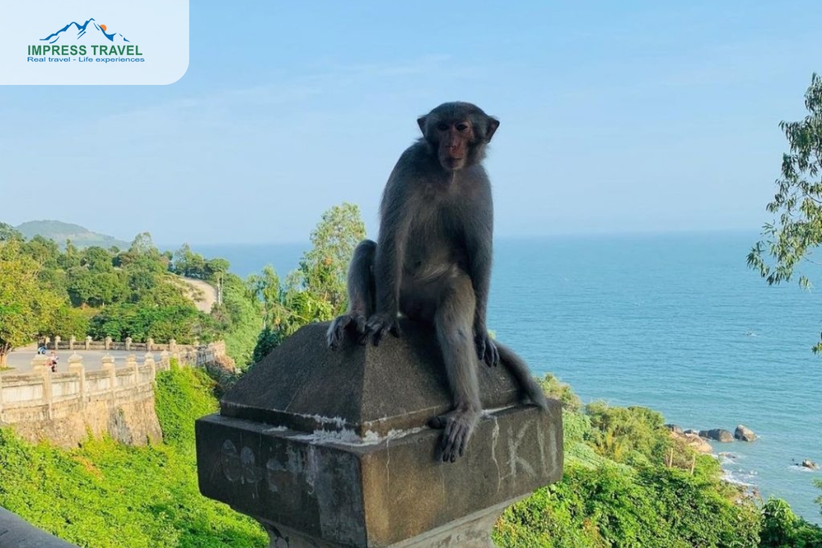 Monkey Mountain in Danang