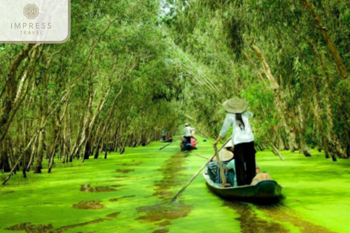 The Mekong River’s Ecosystem