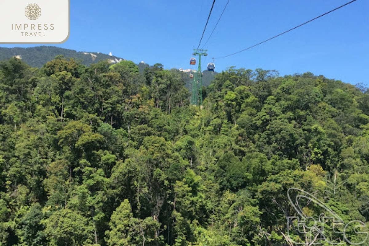 Ba Na - Nui Chua primeval forest - reasons to travel to Danang