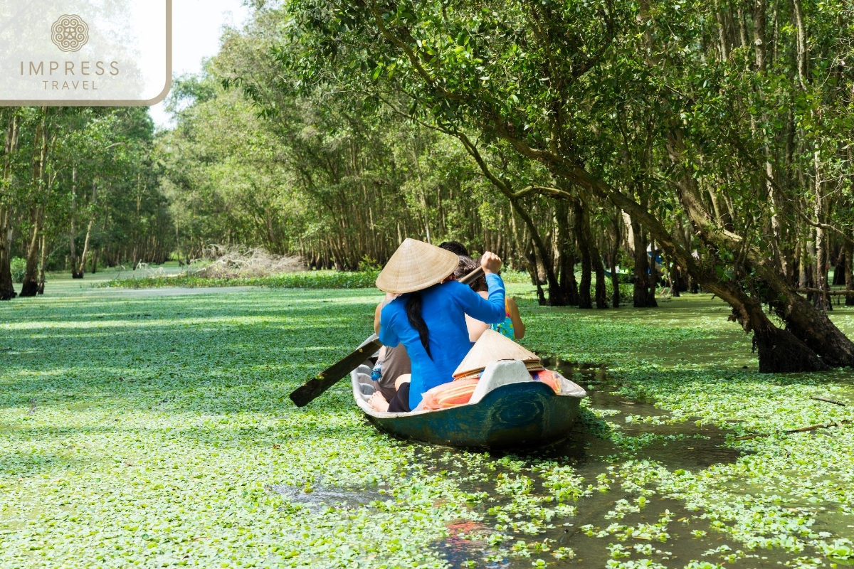 Trà Sư Cajuput Forest - Beautiful Natural Countryside for the Mekong Tours