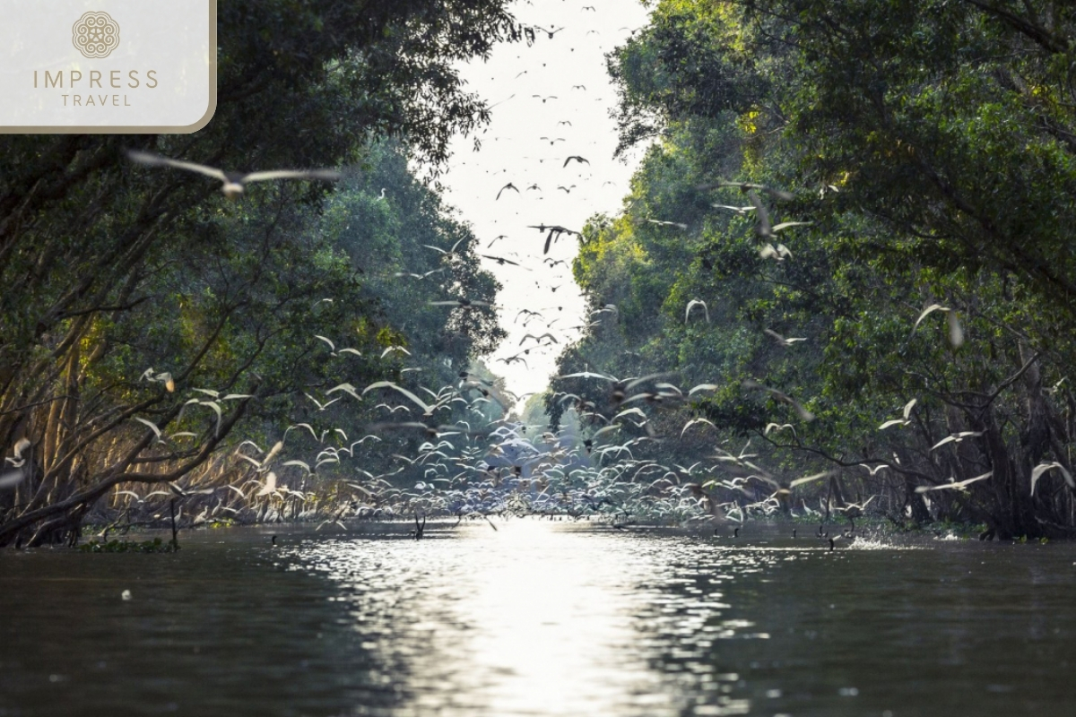 Tràm Chim National Park - Beautiful Natural Countryside for the Mekong Tours