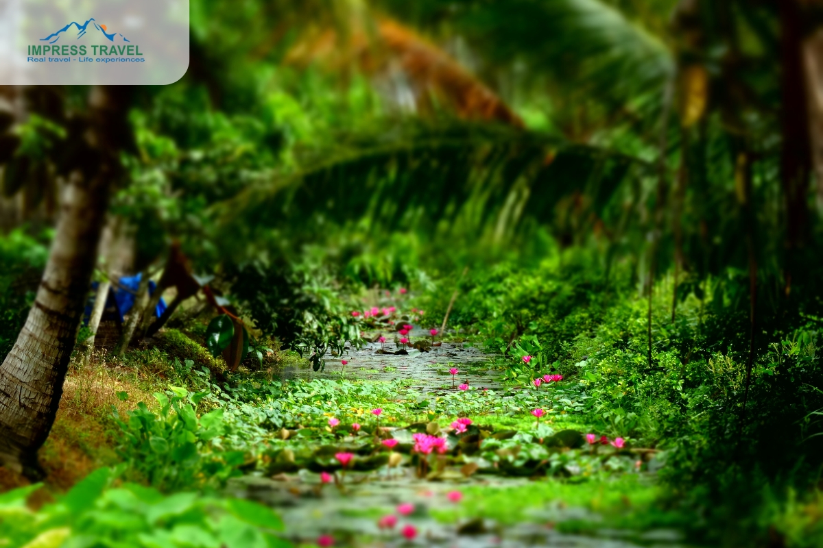 Quiet in the Mekong Delta 