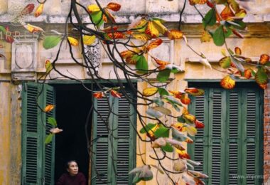 Autumn in Hanoi