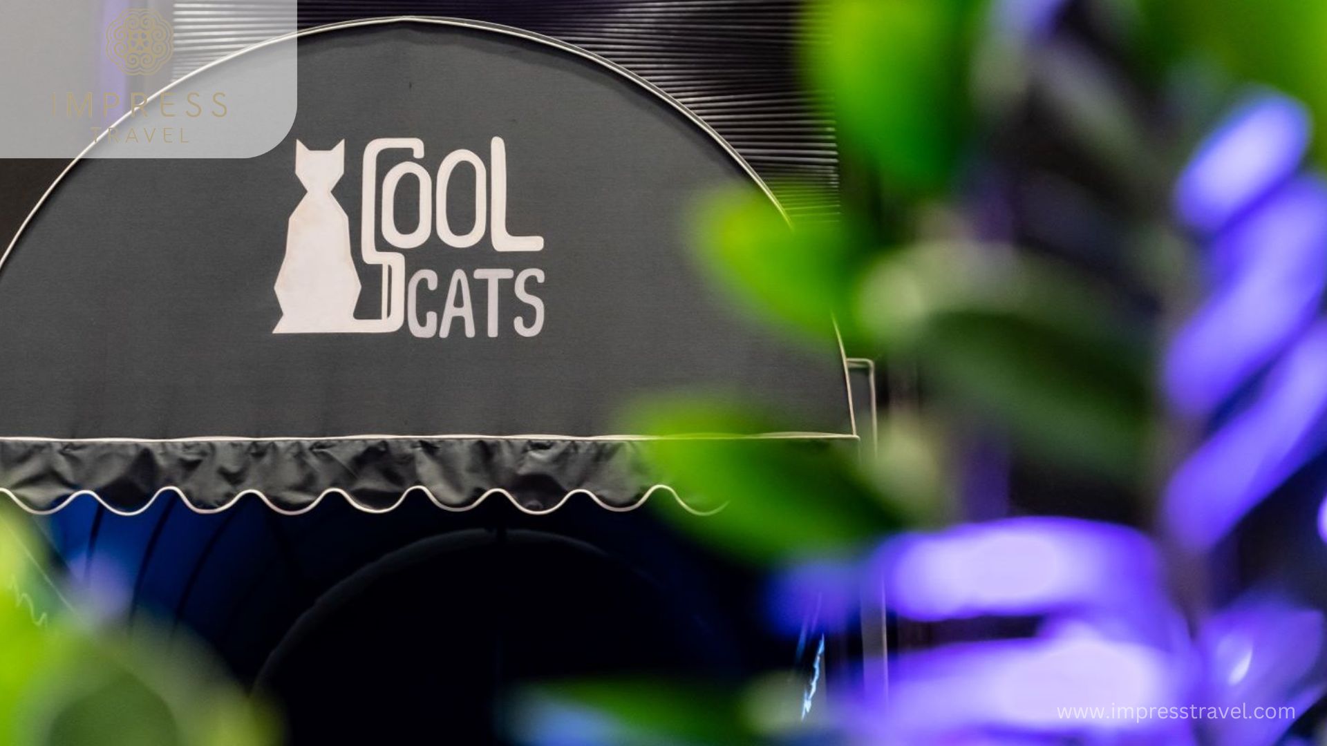 Entrance to Cool Cats Jazz Club