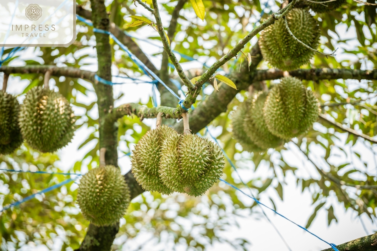 Cai Mon Fruit Garden