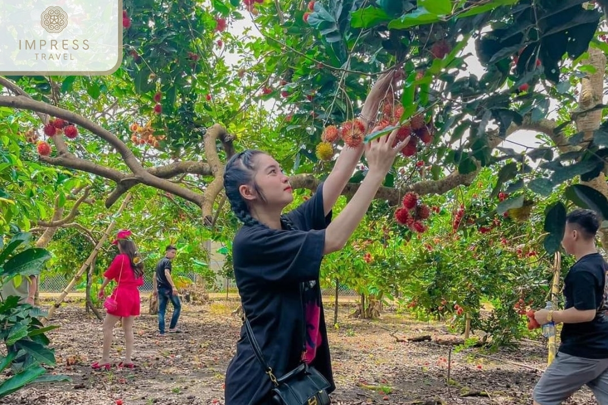 Phong Dien Fruit Garden