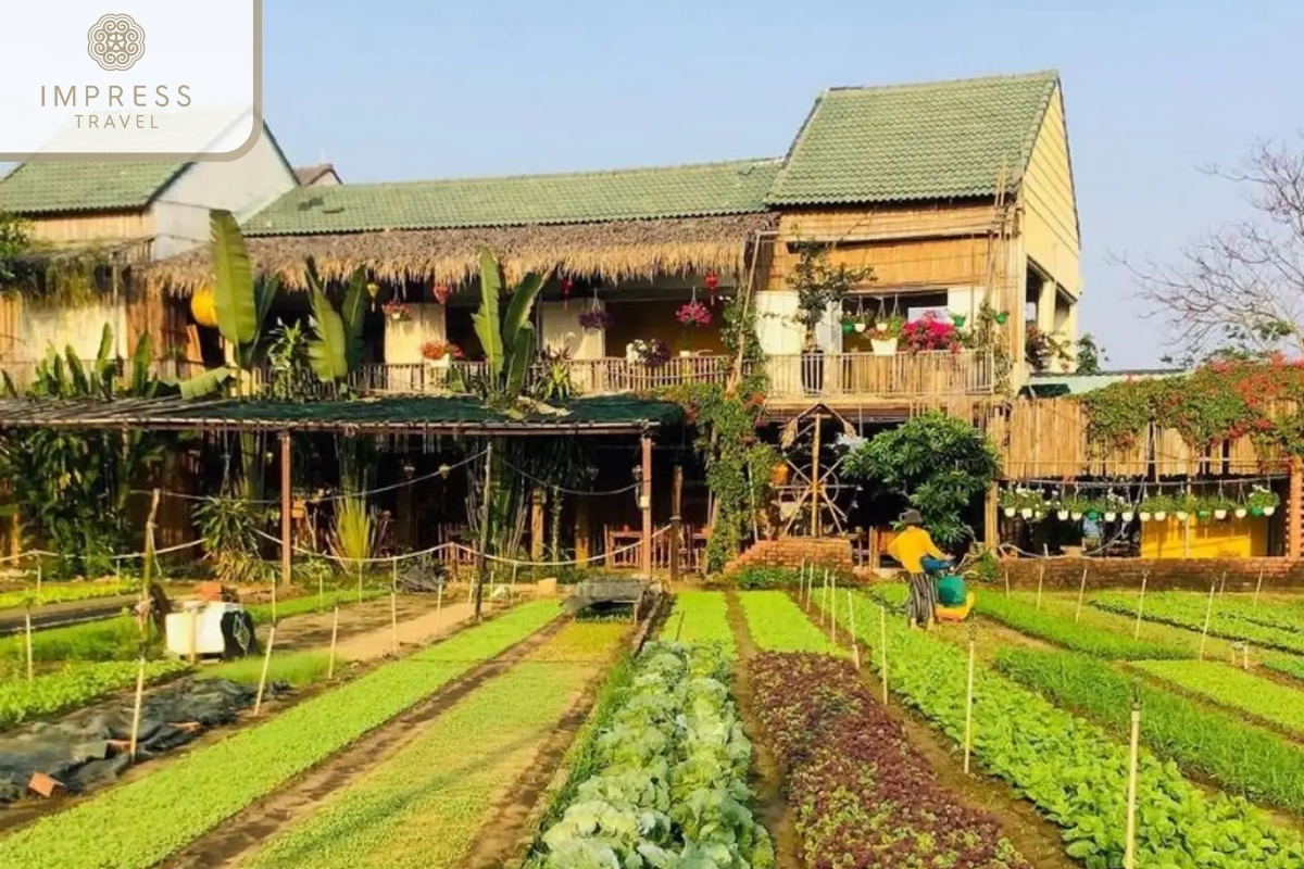 Tra Que Vegetable Village