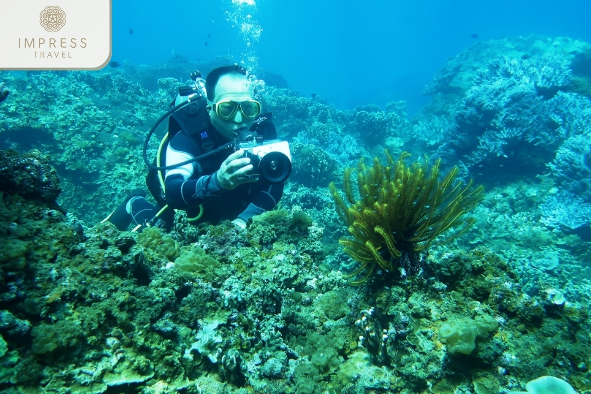 Diving to see coral at Cu Lao Cham