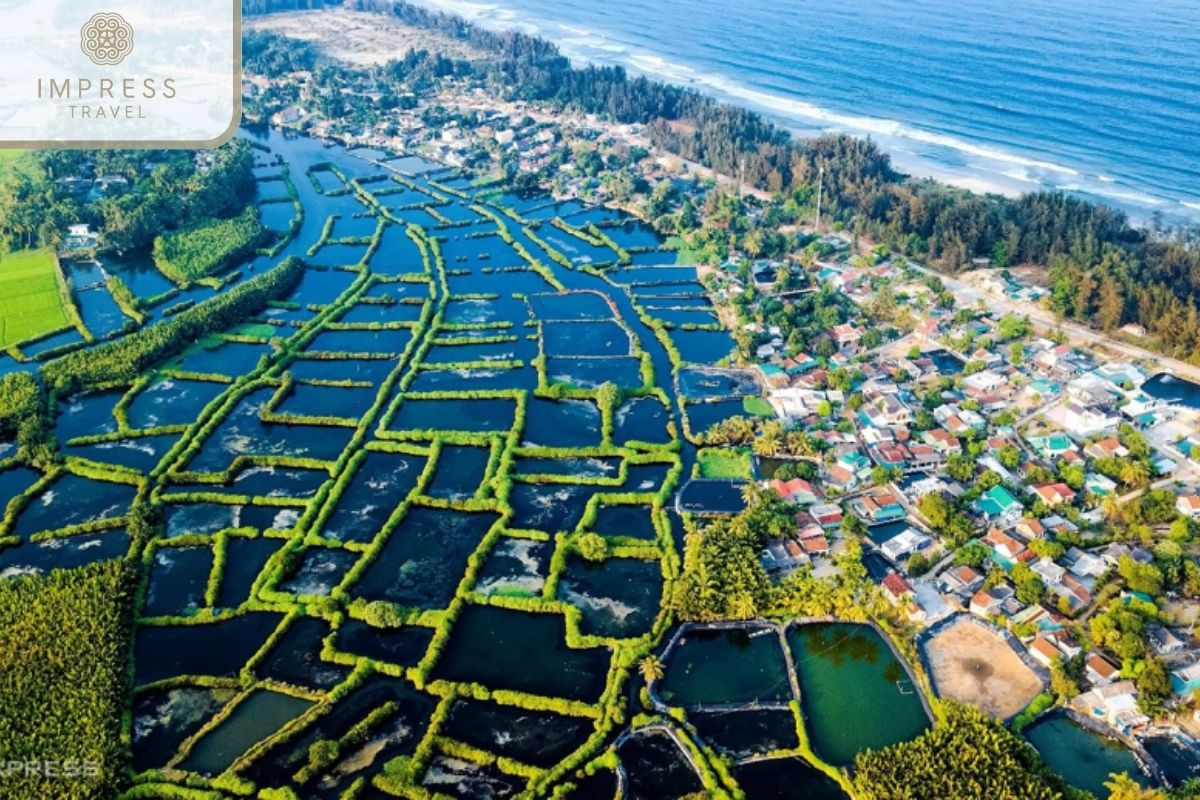 See the coconut forest from above - Water Coconut Forest on the Mekong Delta tour 