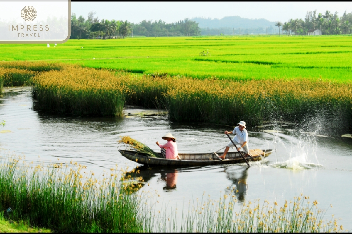 Take a boat ride through beautiful rice fields
