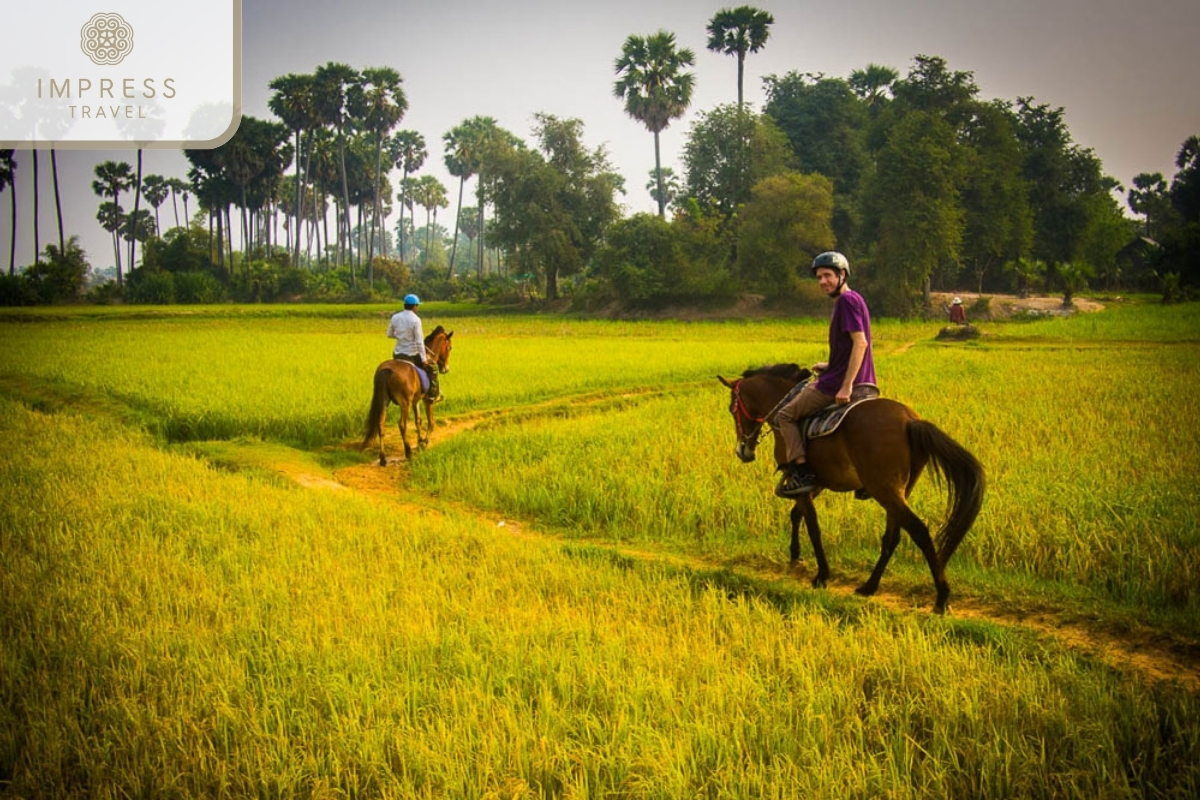 Horseback riding to visit the rice fields