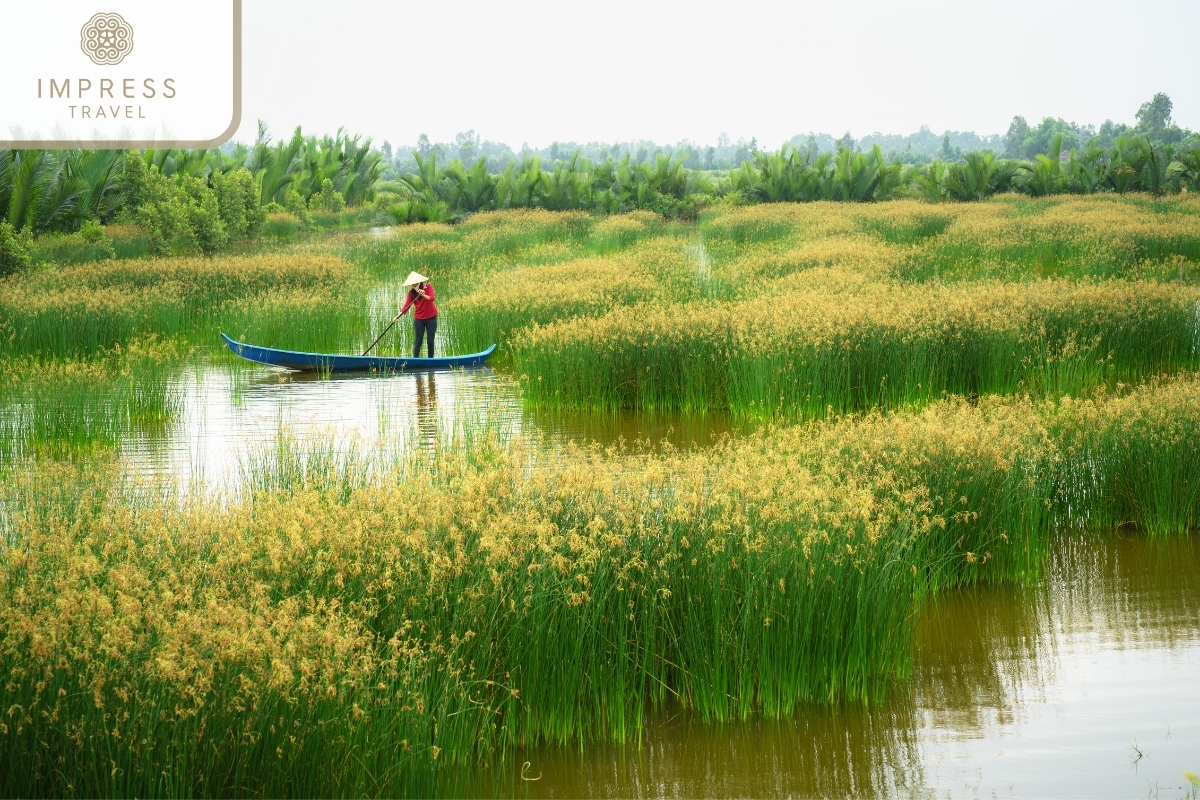 Reason to Book Tours Mekong Delta - Scenic Landscapes