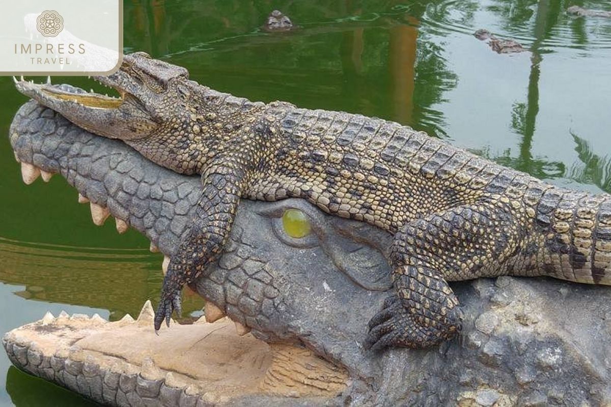 Long Xuyen Crocodile Farm