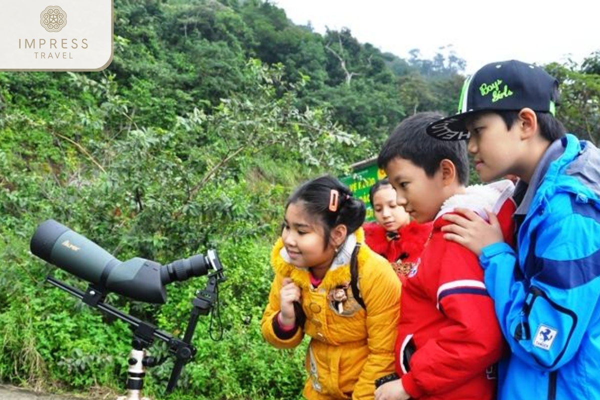 Observe through the lens - Monkey Mountain for Da Nang Tour