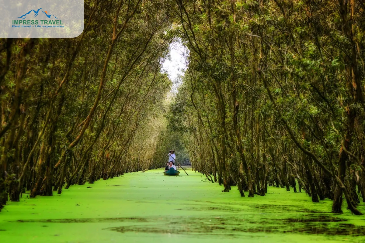 Trà Sư Cajuput Forest.