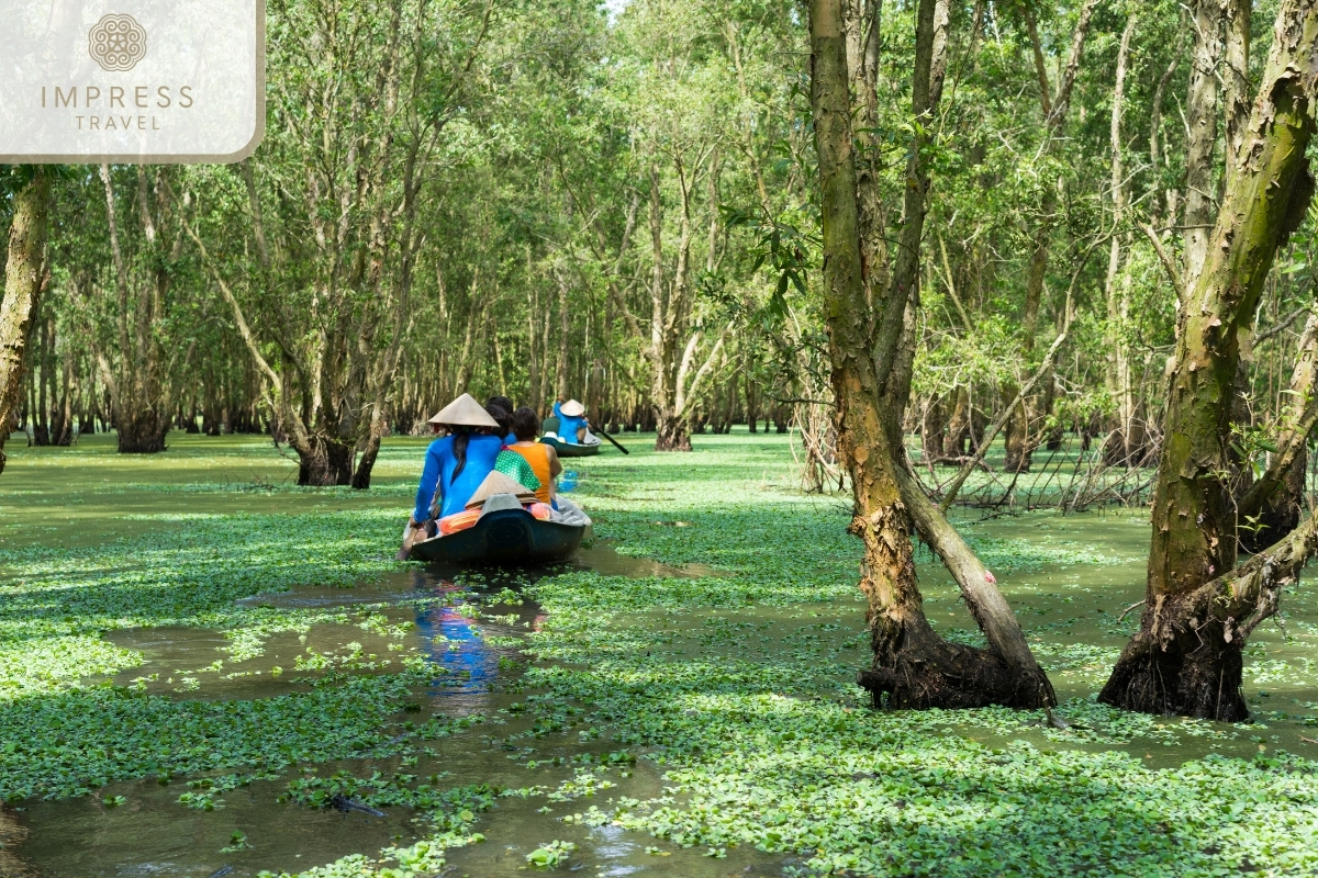 Tra Su Cajuput Forest