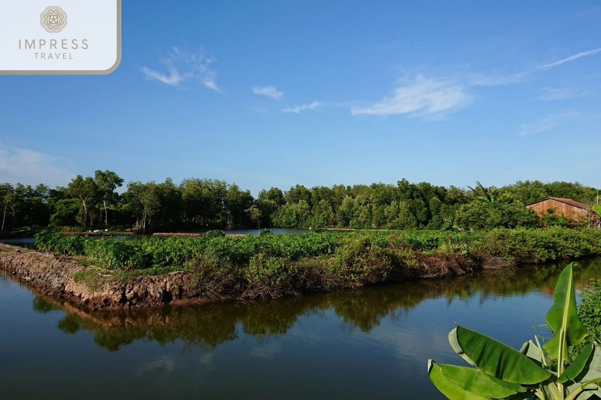 Home to many species of fish - Fishing tourism in the Mekong Delta