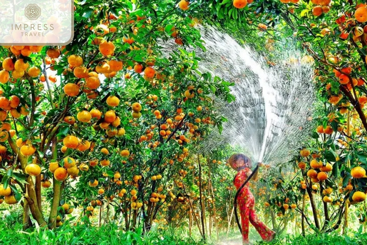 Fruit Gardens and Cooking Class in Ben Tre